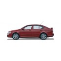 Turbo SKODA OCTAVIA 2 (1Z3) 2.0 TDI RS